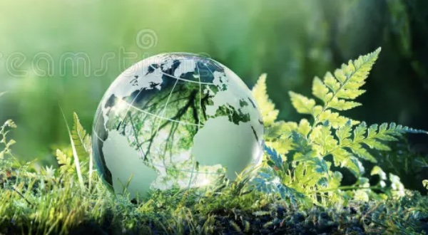 Sustainable Systems International